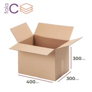 Karton 400x300x300 szary fala C