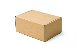 Karton paczkomat InPost A 160x110x70 zamknięty