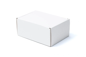 Karton paczkomat InPost A 160x110x70 biały zamknięty