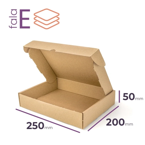 Karton fasonowy 250x200x50 - 40 szt.
