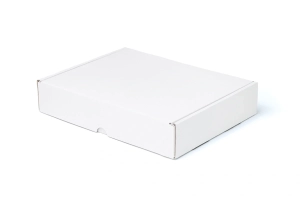 Karton fasonowy biały 250x200x50 zamknięty