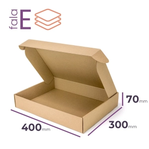 Karton fasonowy 400x300x70 szary