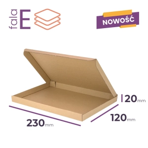 małe płaskie pudełko kartonowe 230x120x20