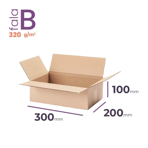 Karton 300x200x100 wym. zewn. B/320 - 20 szt.