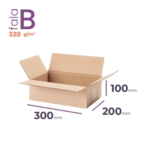 mały karton klapowy 300x200x100 mm fala b