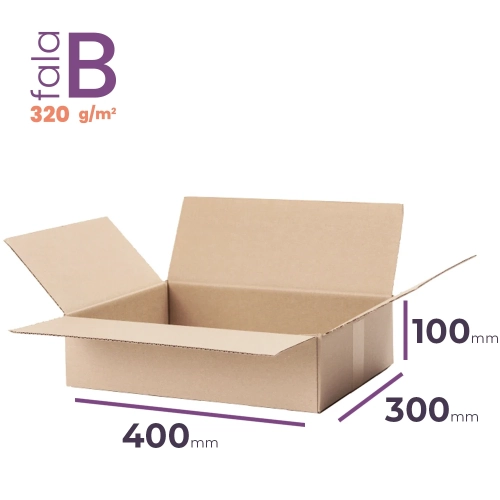 Karton 400x300x100 wym. zewn. B/320 - 20 szt.