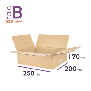 mały karton klapowy 250x200x70 mm fala b