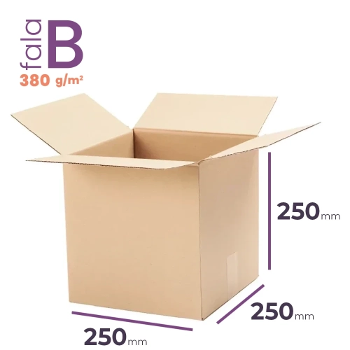 Karton 250x250x250 wym. zewn. B/380 - 20 szt.