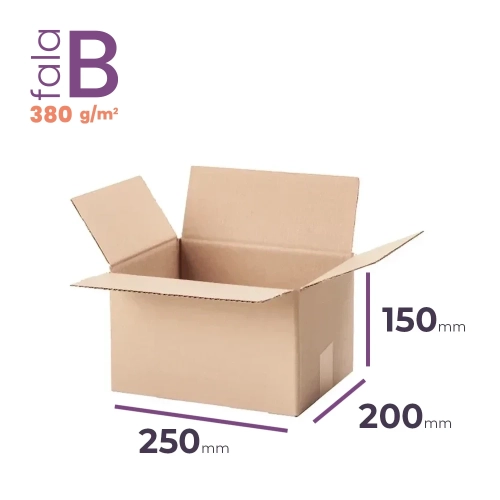 Karton 250x200x150 wym. zewn. B/380 - 20 szt.