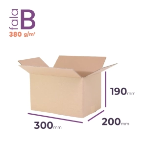 mały karton klapowy 300x200x190 mm fala b