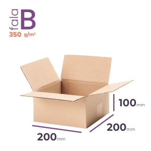 mały karton klapowy 200x200x100 mm fala b