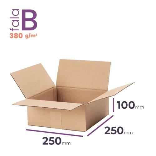 Karton 250x250x100 wym. zewn. B/380 - 20 szt.