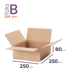 mały karton klapowy 250x250x80 mm fala b 320g/m2