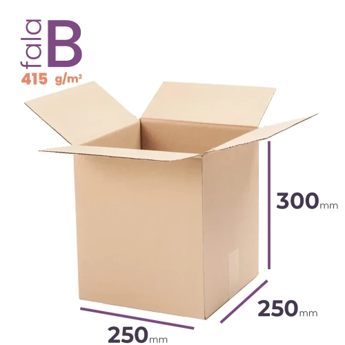 Karton 250x250x300 wym. zewn. B/415 - 20 szt.