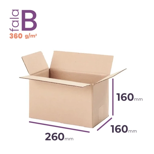 Karton 260x160x160 wym. zewn. B/360 - 20 szt.