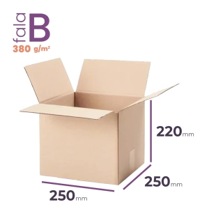 Fala B 380g_250 x 250 x 220.webp