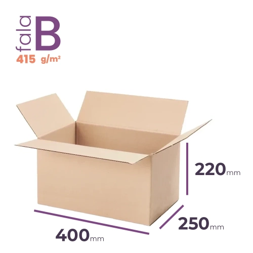 Karton 400x250x220 wym. zewn. B/415 - 20 szt.