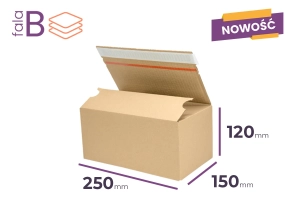 automatyczny karton z klejem 250x150x120 mm