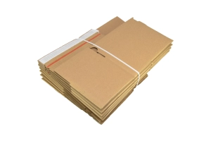 komplet kartonów wysyłkowych - 10 sztuk