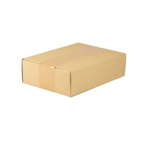karton gabaryt A 20x15x6 cm