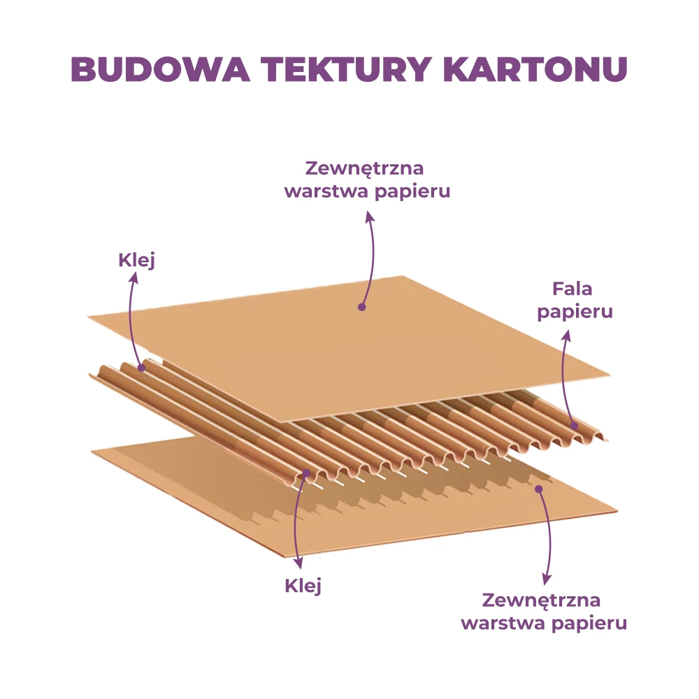 karton budowa rodzaje warstwa 3-warstwowy 5-warstwowy fala E, B, C, EB, ED