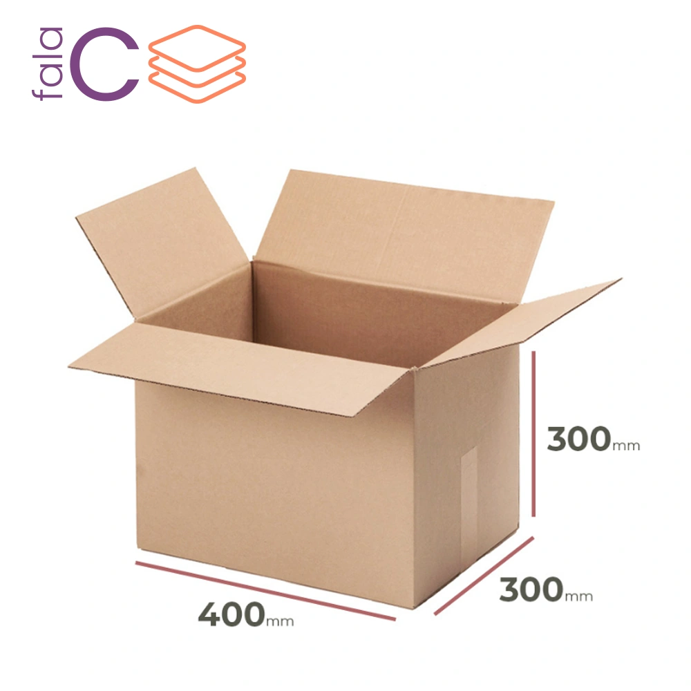 Karton 400x300x300 szary fala C