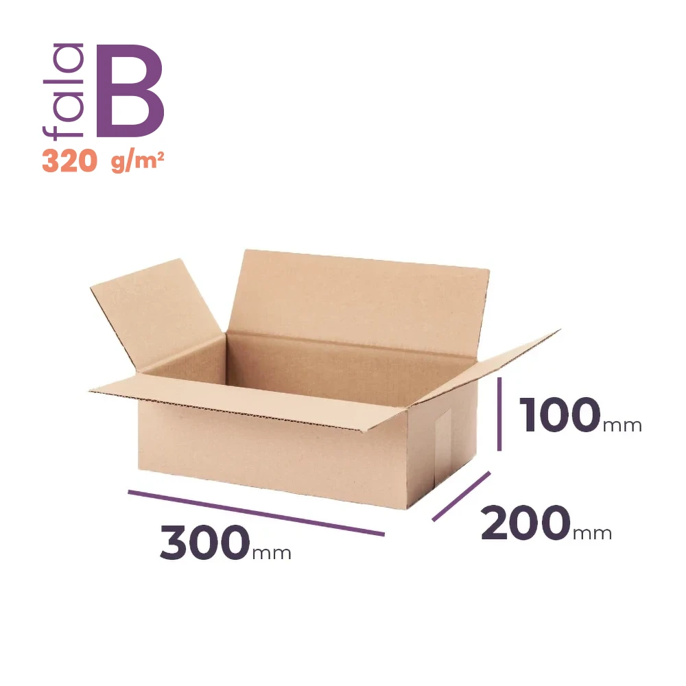 mały karton klapowy 300x200x100 mm fala b