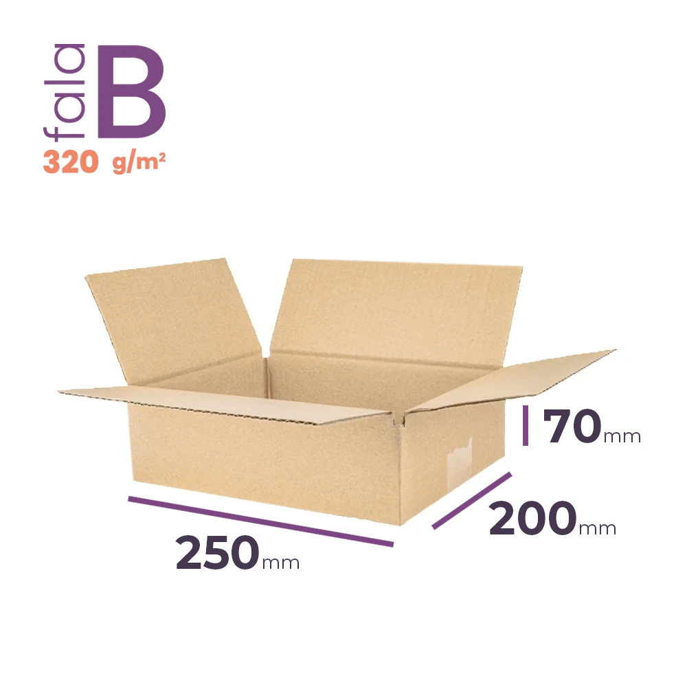 mały karton klapowy 250x200x70 mm fala b
