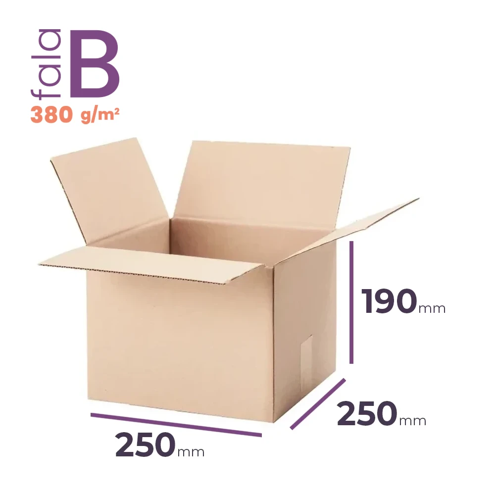 mały karton klapowy 250x250x190 mm fala b