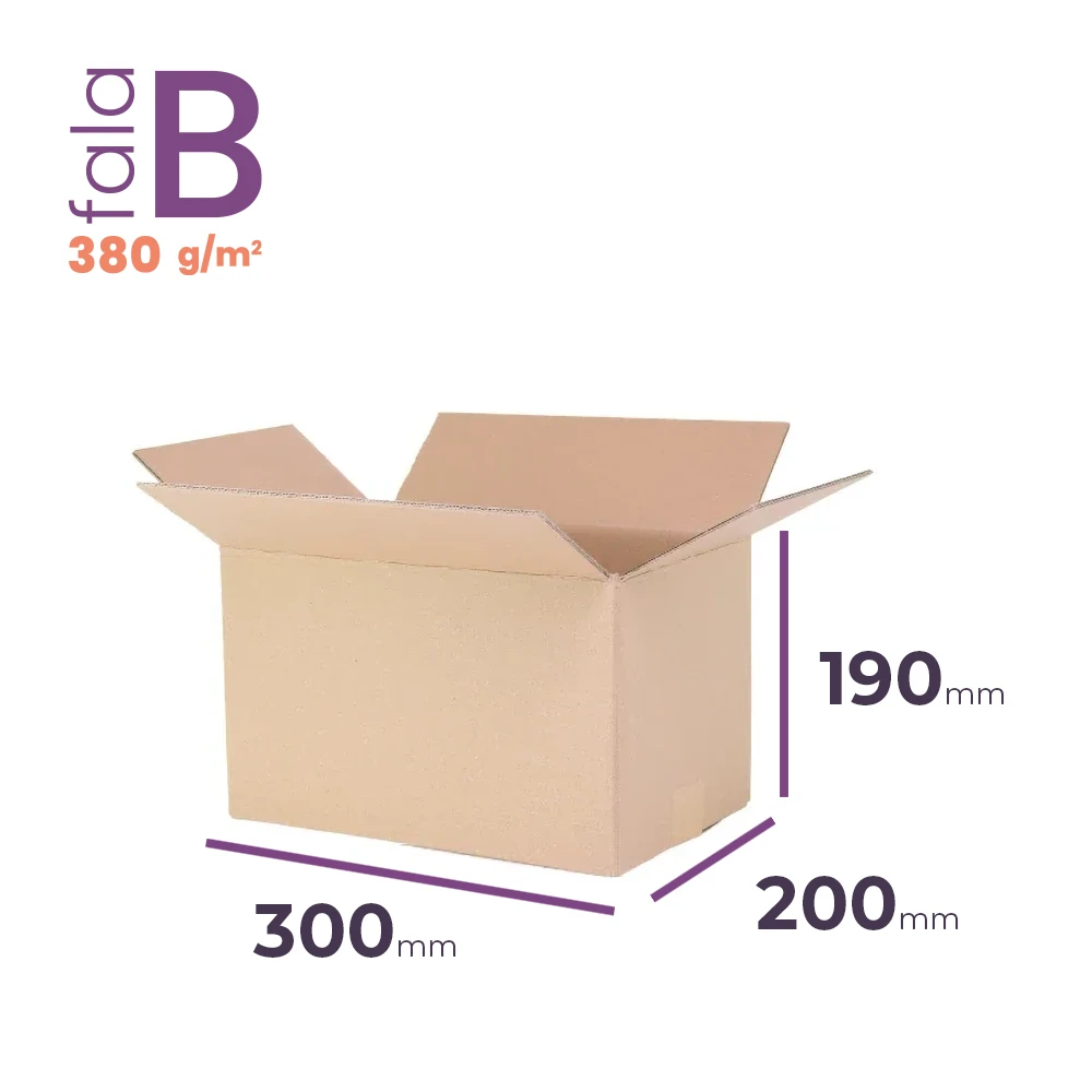mały karton klapowy 300x200x190 mm fala b