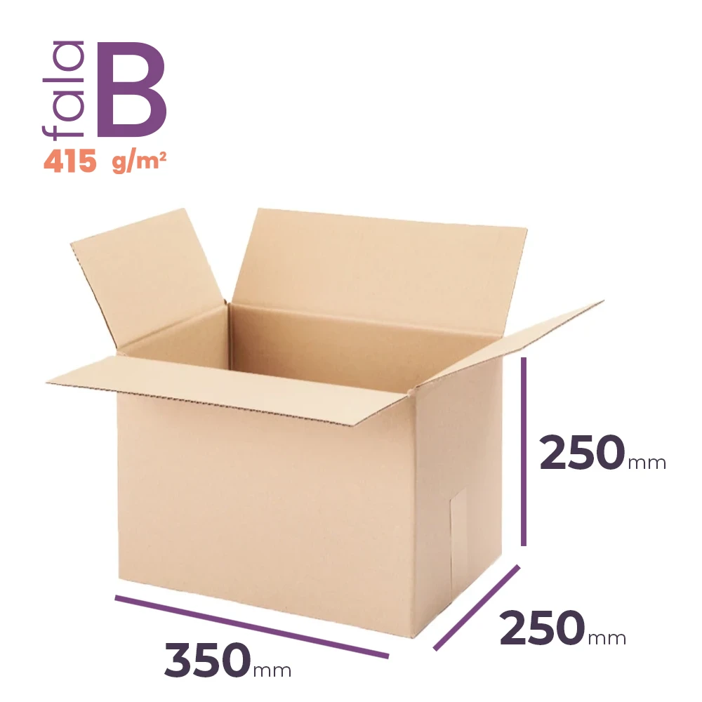 mały karton klapowy 350x250x250 mm fala b