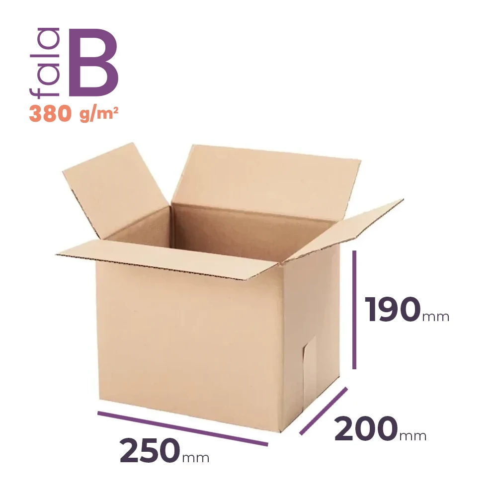 karton klapowy 250x200x190 mm fala b 380g/m2